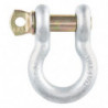 Screw Pin Anchor Shackle, 7/8", Screw Pin, Hot Dip Galvanized