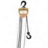 Heavy-Duty Gold Series Chain Hoist, 15' Lift, 2000 lbs. (1 tons) Capacity, Alloy Steel Chain