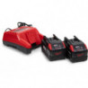 XC115VC, 115 VAC Battery Charger for XC Pump Batteries